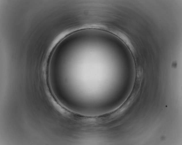 X0000096731054200802051435
