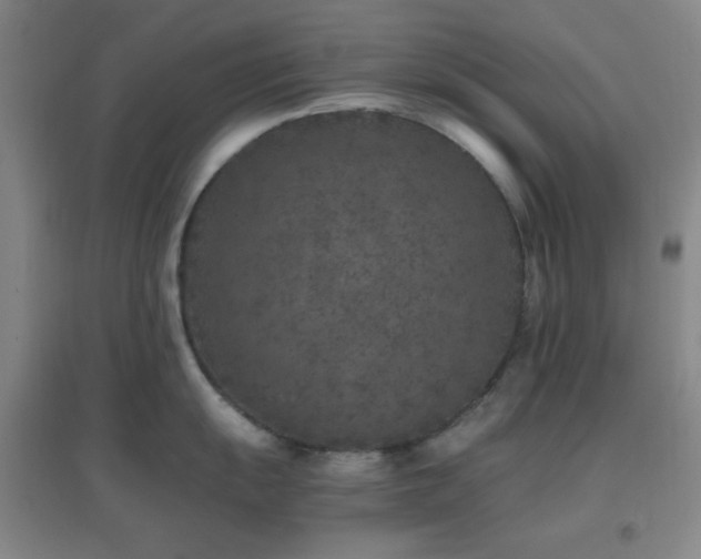X0000096731055200802051435