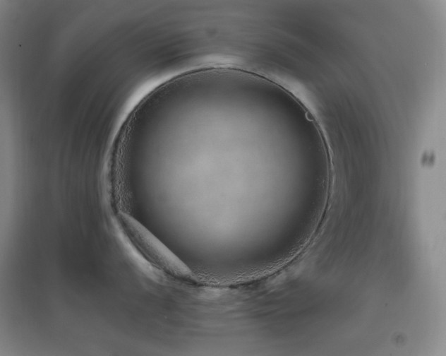 X0000096731056200802051435