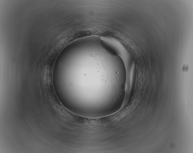 X0000096731058200802051434