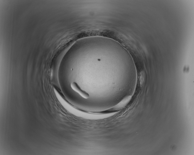 X0000096731059200802051434