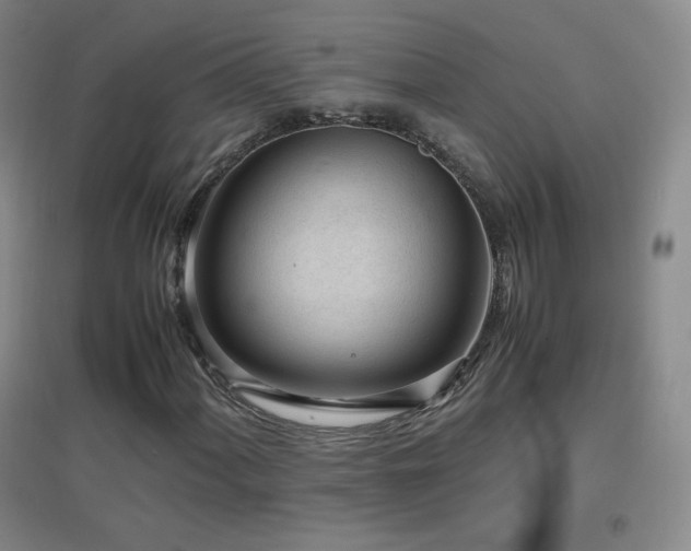 X0000096731060200802051434