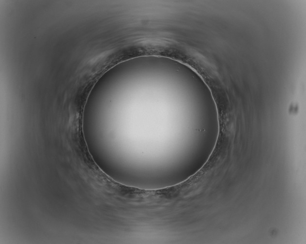 X0000096731061200802051434