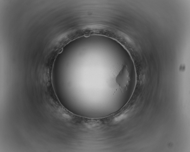 X0000096731062200802051434