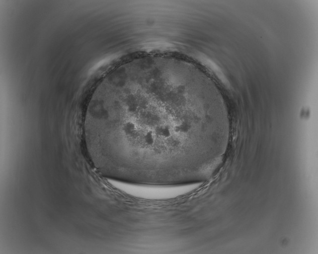 X0000096731063200802051434