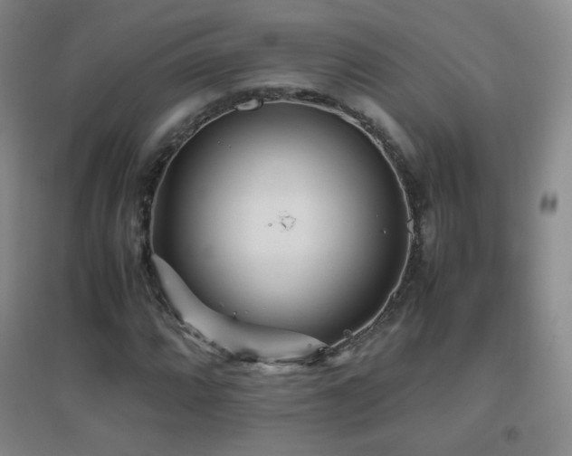 X0000096731064200802051434