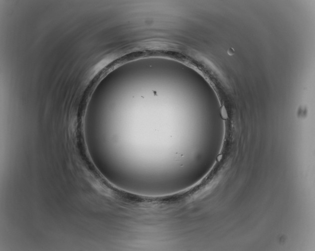 X0000096731065200802051434