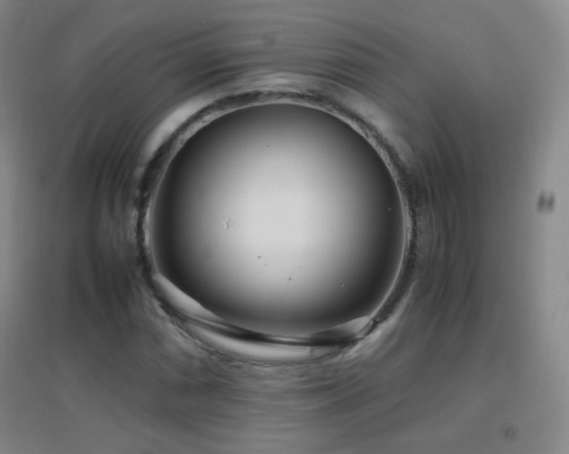 X0000096731066200802051434