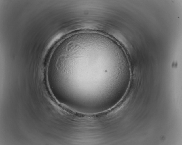 X0000096731067200802051434