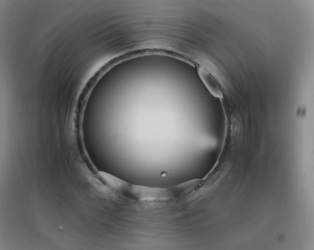 X0000096731068200802051434