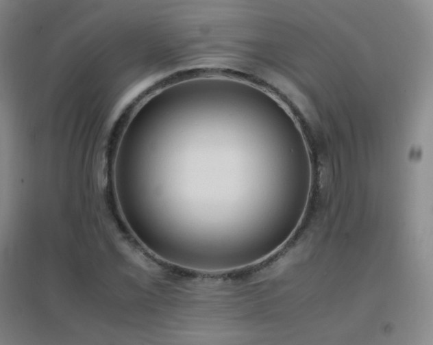 X0000096731069200802051434