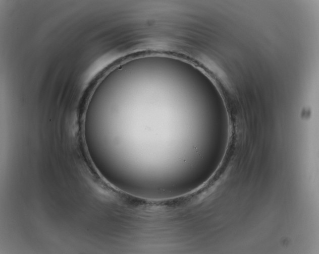 X0000096731070200802051434