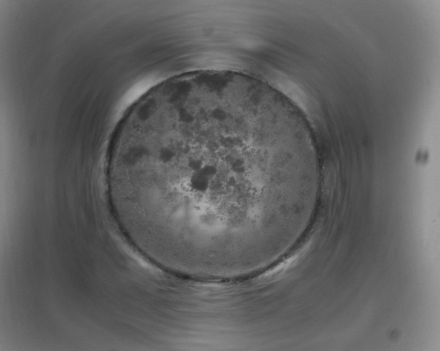 X0000096731071200802051434