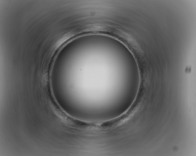 X0000096731073200802051434