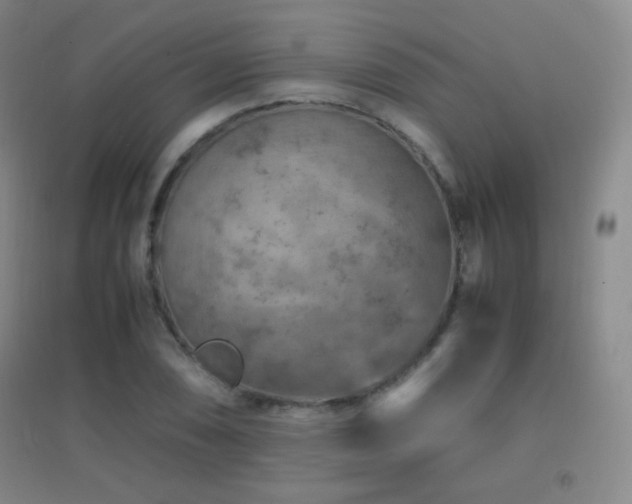 X0000096731074200802051434