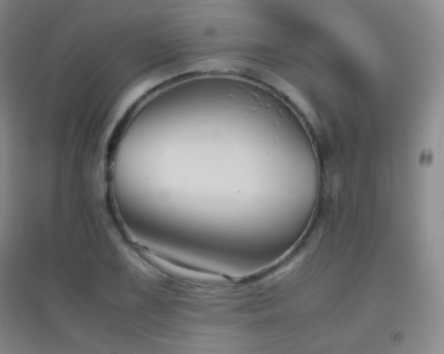 X0000096731075200802051434
