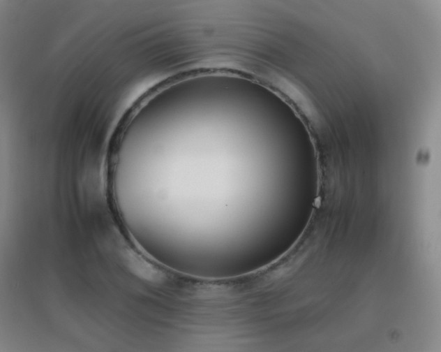X0000096731076200802051434