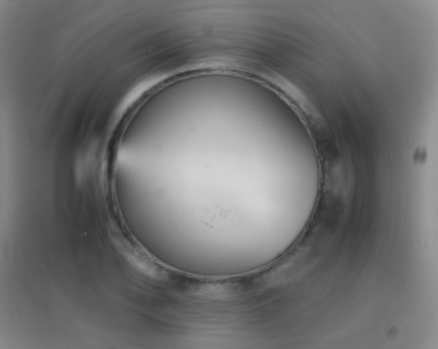 X0000096731078200802051434