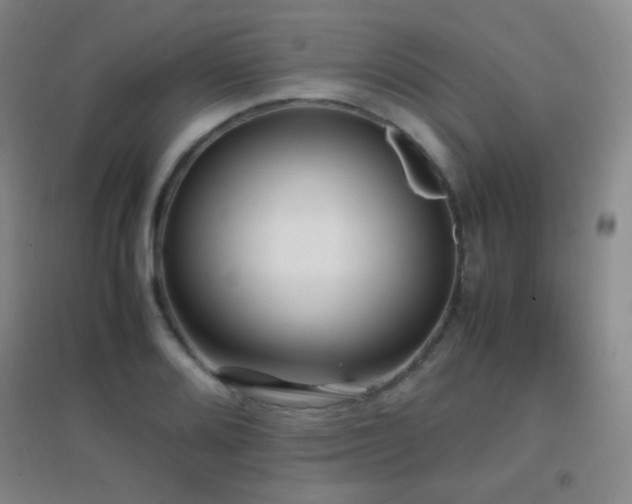 X0000096731080200802051434