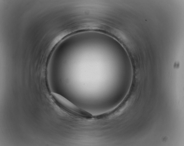 X0000096731081200802051434