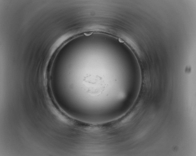 X0000096731082200802051434