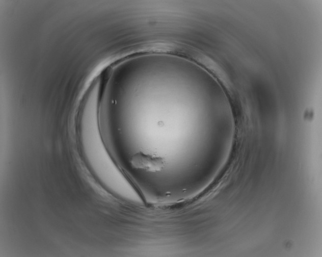 X0000096731083200802051434