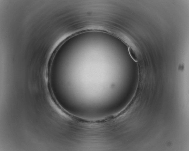 X0000096731084200802051434