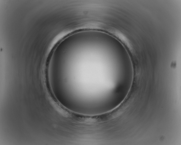 X0000096731085200802051434