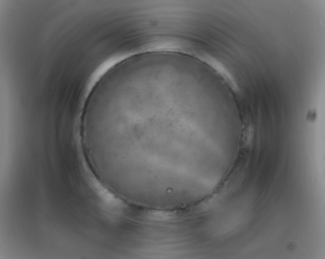 X0000096731086200802051434