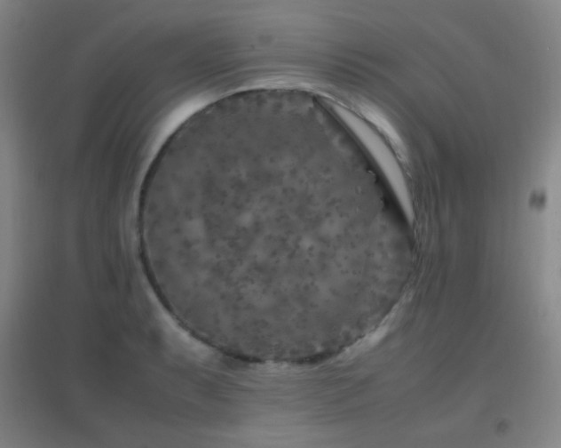 X0000096731087200802051434