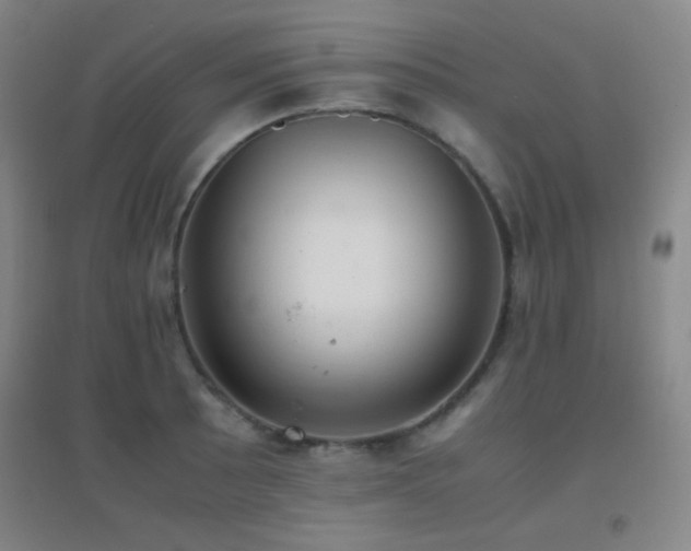 X0000096731089200802051434