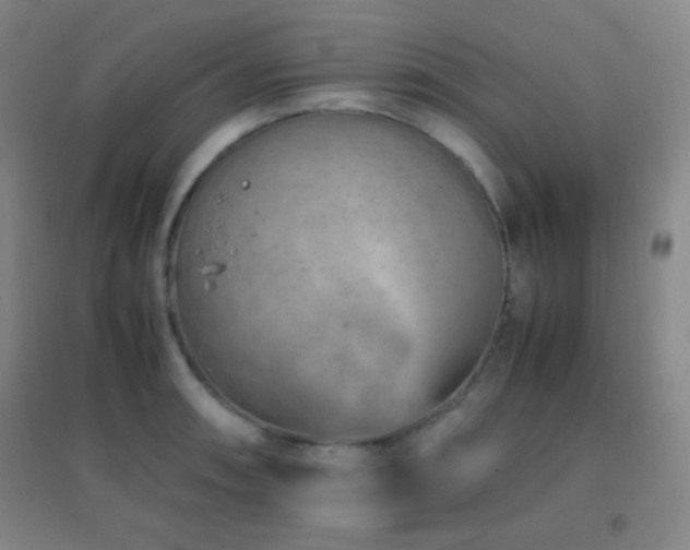 X0000096731090200802051434