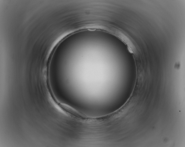 X0000096731092200802051434