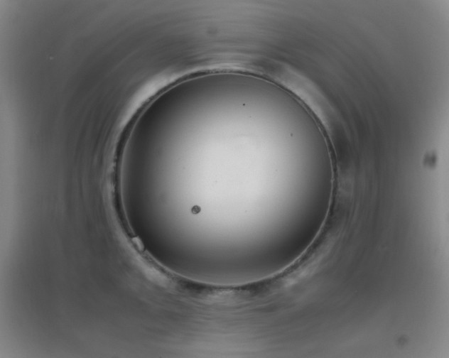 X0000096731093200802051434