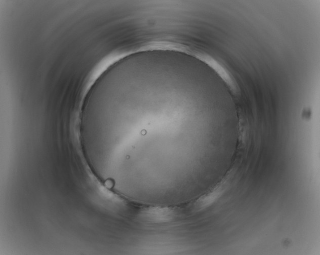 X0000096731094200802051434