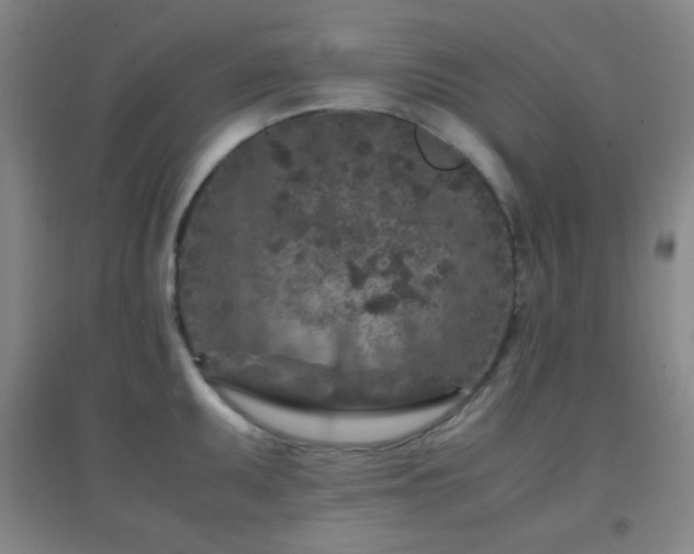 X0000096731095200802051434
