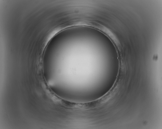 X0000096731097200802051434