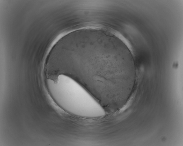 X0000096731099200802051434