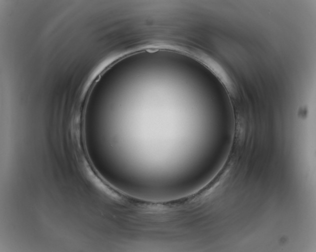X0000096731100200802051434