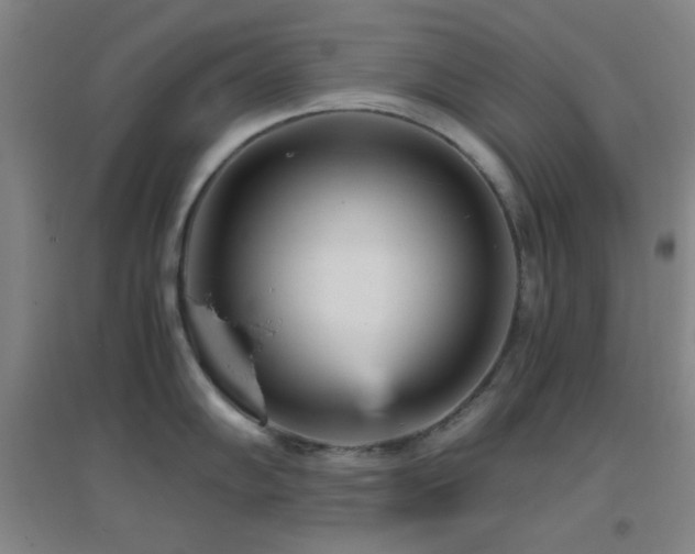 X0000096731102200802051434