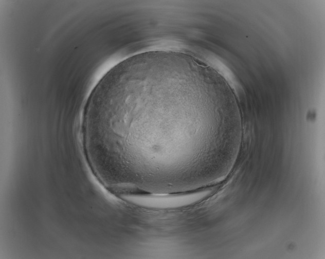 X0000096731103200802051434