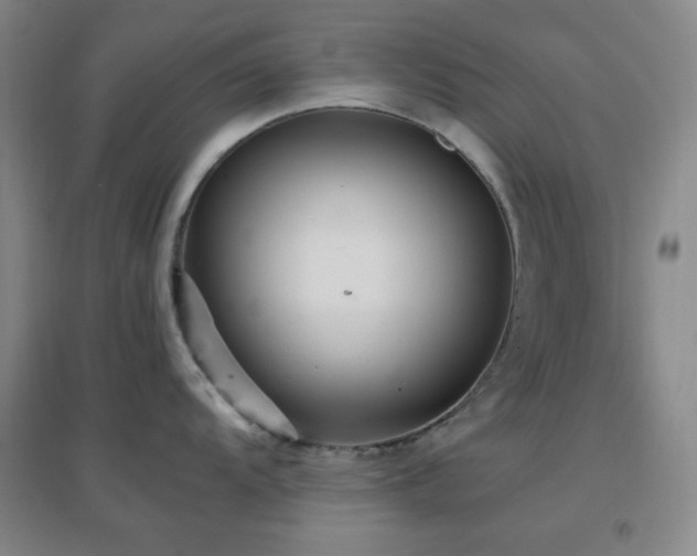 X0000096731104200802051434