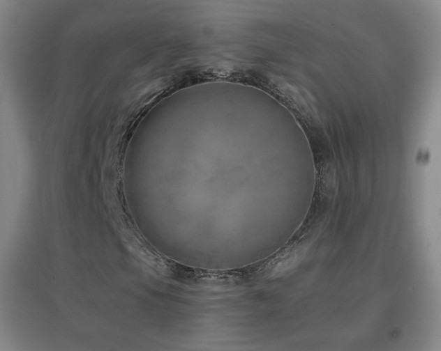 X0000096731105200802051433