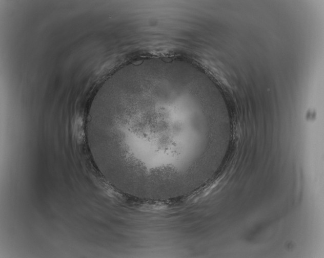 X0000096731106200802051433