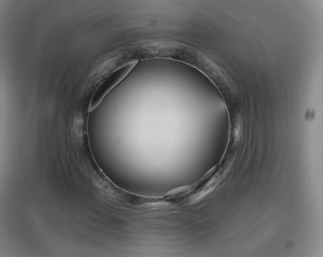 X0000096731108200802051433