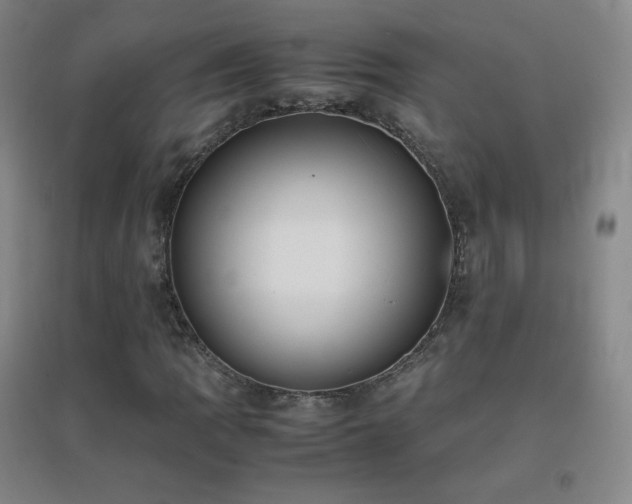 X0000096731109200802051433
