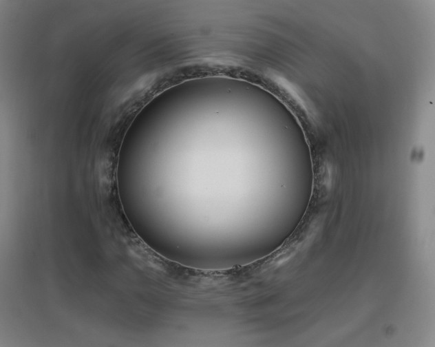 X0000096731110200802051433