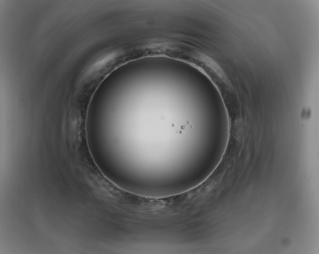 X0000096731111200802051433