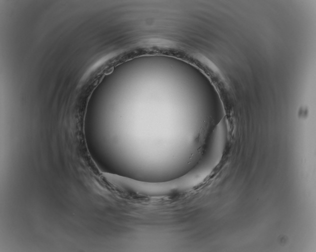 X0000096731112200802051433