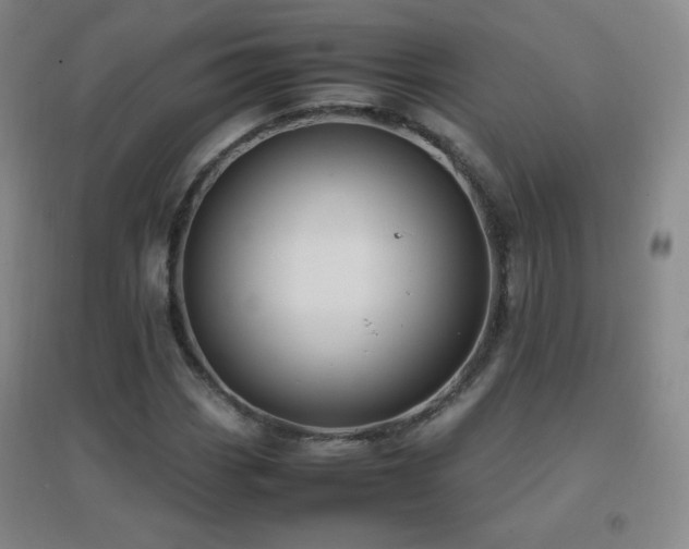 X0000096731113200802051433